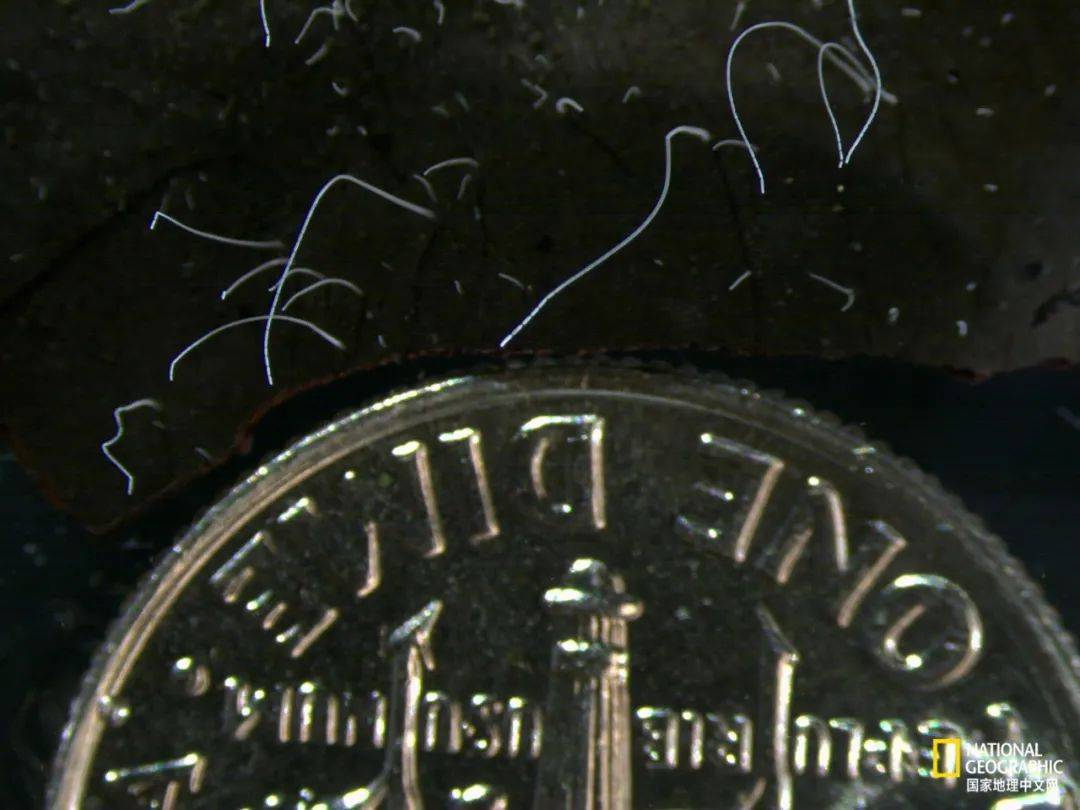 image-1665800574577