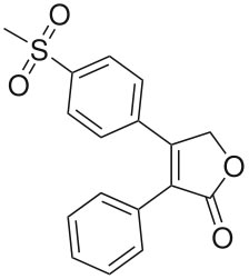 image-1669087406024